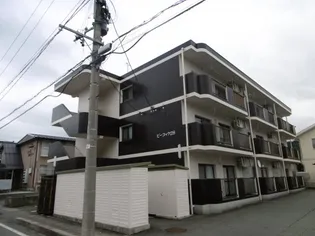 ピーコック28の画像