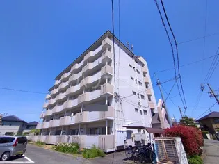 エステイト ツジ【5階】の外観