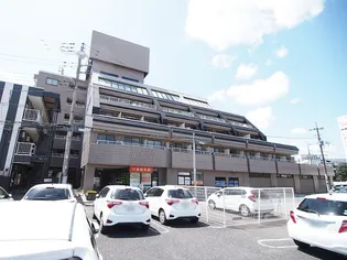 エルドラド文の画像