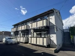 パピヨンBの画像