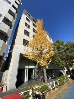 コンフォリア原宿【4階】の外観