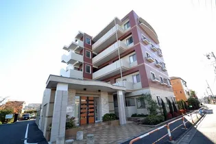 ルネ シェスタの画像