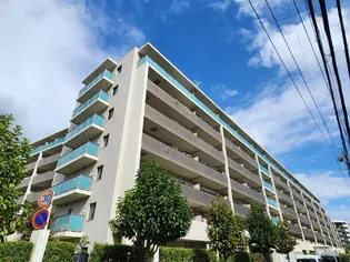 ラ・ヴィータシティ【7階】の外観