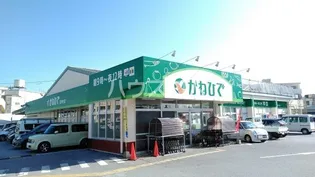 ヴィーヴル【4階】の周辺