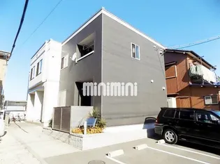 ルピナスの画像