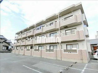 ロベリア21の画像