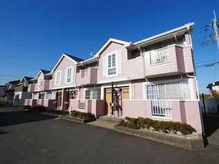 CHER YUNAGOの画像