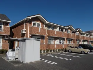 サン フィット1の画像