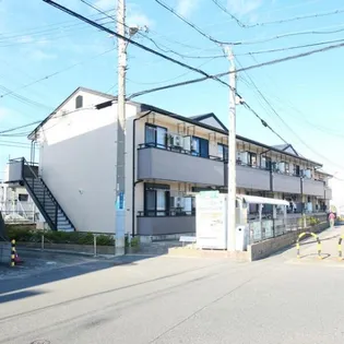 フローレスハタの画像