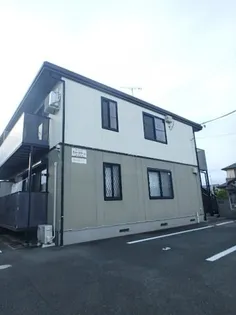 エバーグリーンの画像