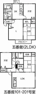 アバンサール五番館【2階】の間取り