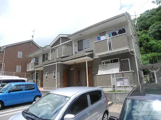 プリムローズBの画像