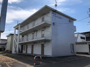 コートチェルシーの画像