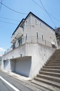 WAYNE HILLSの画像