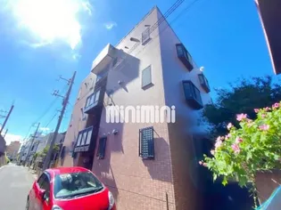 パールウィングスの画像