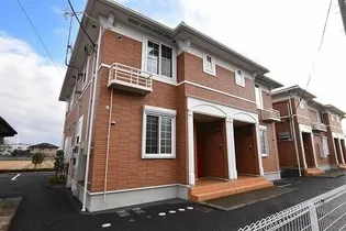 セレッソAの画像