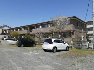 プラシードの画像