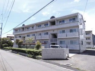 ハイネス八幡の画像