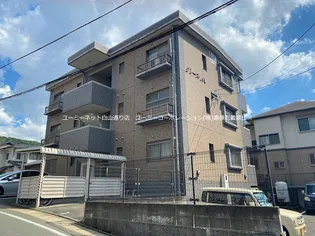 グレース Mの画像