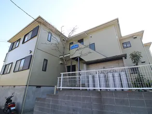 ドルフィンひとみの画像