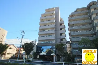 K Mコートの画像