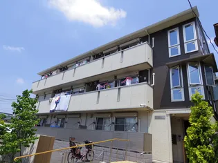 レイストリーフの画像