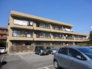 サンシャイン大成の画像