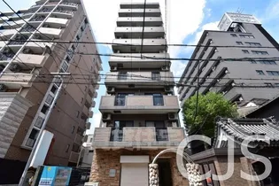 CHINSA NAMBAの画像