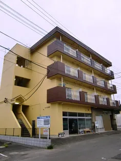 ハイツ若葉【4階】の外観