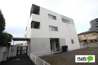 ソレッジの画像