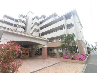 アウラ10の画像