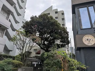 グランドメゾン戸山【6階】の外観