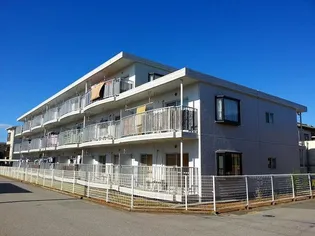 ロイヤルストークの画像