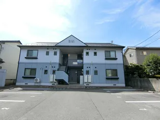 プリモディーネの画像