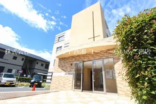 シーベルズの画像