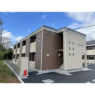 オーク ルミナスの画像