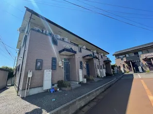 アプリコットの画像