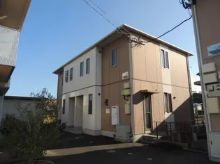 ディアス中嶋Bの画像