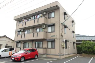 ドルフYOUの画像
