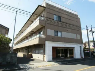 DOMUSの画像