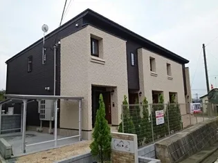 ハレラーの画像
