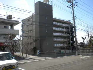 菜根アルザスの画像