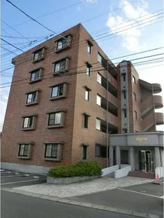 ライプンの画像