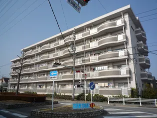 ラフィ-ネ六名【3階】の外観