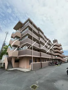 兵庫県加古川市加古川町粟津【マンション】の外観