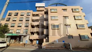 ポローニア指扇の画像