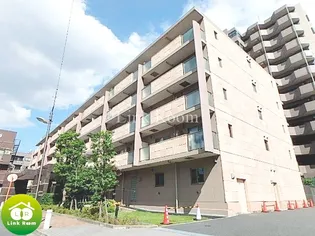 セレリーオ ニッコーの画像