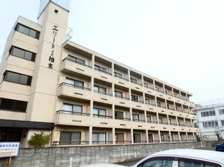 柏木サトウコーポの画像