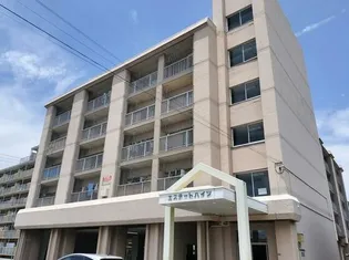 エステートハイツ【4階】の外観