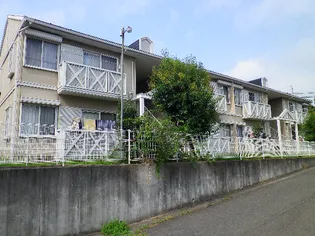 ビレッジ ディナBの画像